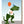 Load image into Gallery viewer, Modern Printed Matter - Ancient AF Birthday Card