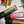 Load image into Gallery viewer, Vegan Phrase pencil set