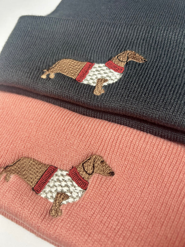 Dachshund in a jumper Beanies - Brown dog , Cream and Red jumper