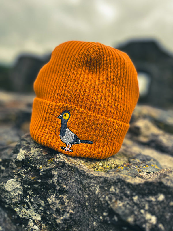 Adults Chunky Beanie | Embroidered rock pigeon