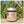 Load image into Gallery viewer, Heavenly Organics - Eye and Face Cream