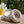 Load image into Gallery viewer, Heavenly Organics - 100% Organic & Vegan Lip Balms