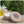 Load image into Gallery viewer, Heavenly Organics - 100% Organic & Vegan Lip Balms