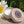 Load image into Gallery viewer, Heavenly Organics - 100% Organic & Vegan Lip Balms