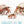 Load image into Gallery viewer, Little Nipper - Congratulations!