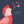 Load image into Gallery viewer, Klara Hawkins - Chicken Valentine's Card / Cluckin' Love You/ Cockerel