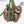 Load image into Gallery viewer, Citrus Bunn - Hang On How Old? - Funny Sloth Greetings Card