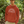 Load image into Gallery viewer, ARC Adults Premium Hoodie - white logo