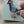 Load and play video in Gallery viewer, Pige Pin badge