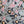 Load image into Gallery viewer, Rock Pige Acrylic Sticker