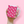 Load image into Gallery viewer, Runner Duck pattern pink Mug