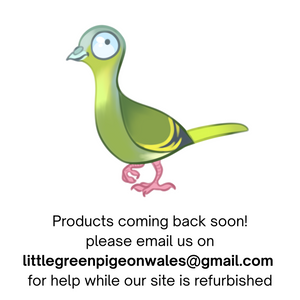 All non Pigeon Themed Clothes