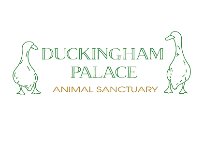 Duckingham Palace Animal Sanctuary