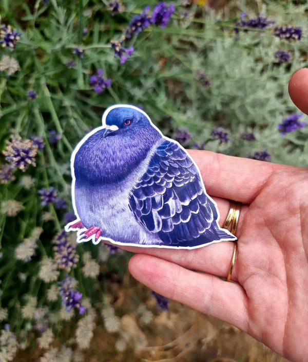 Beth Goodwin Designs - Pigeon Vinyl Sticker Set