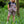Load image into Gallery viewer, Rebel Romance - Rebel Romance Dinoverse Dungaree Shorts
