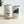 Load image into Gallery viewer, Pigeon Food Gift Tin
