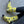 Load image into Gallery viewer, Bare Kind Socks - Bee Socks | Bamboo Socks | Yellow Socks | Meadow Socks
