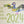 Load image into Gallery viewer, little Green Pigeon Calendar 2024
