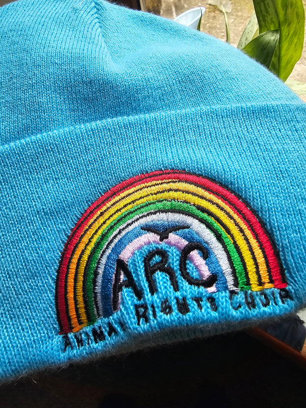 ARC Beanie