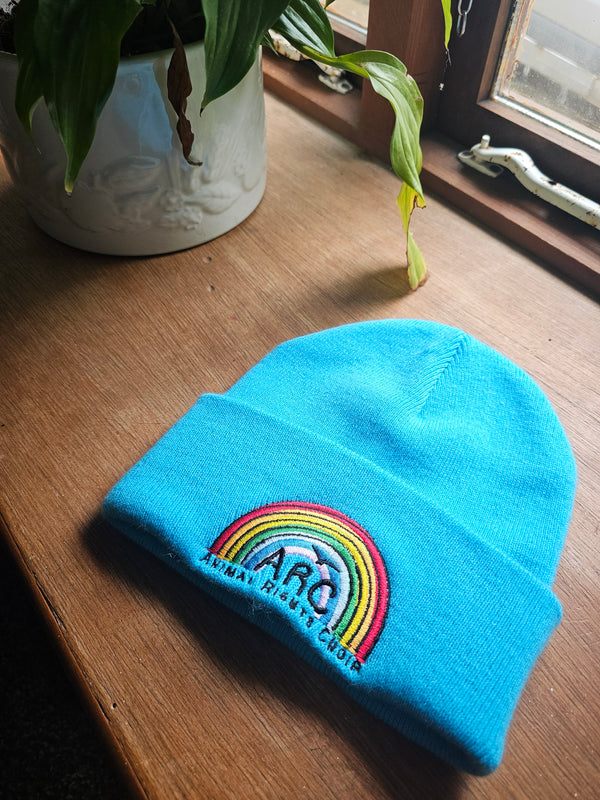 ARC Beanie