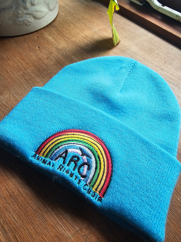 ARC Beanie