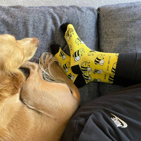 Bare Kind Socks - Bee Socks | Bamboo Socks | Yellow Socks | Meadow Socks