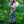 Load image into Gallery viewer, Rebel Romance - Rebel Romance x Abi Perry Bunnies Stretch Dungarees 
