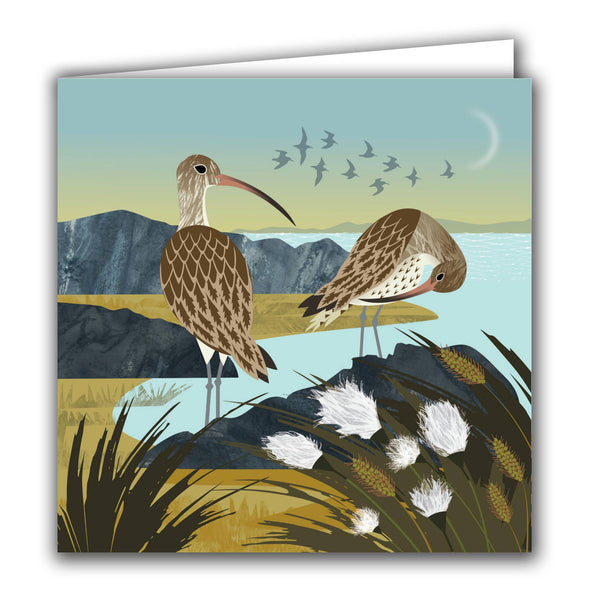 Silver Birch Cards - Blank Greeting Card - 'Curlews and Cotton Grass'
