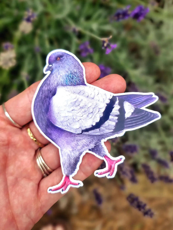 Beth Goodwin Designs - Pigeon Vinyl Sticker Set