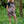 Load image into Gallery viewer, Rebel Romance - Rebel Romance Dinoverse Dungaree Shorts
