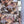 Load image into Gallery viewer, Rebel Romance - Rebel Romance Dinoverse Dungaree Shorts
