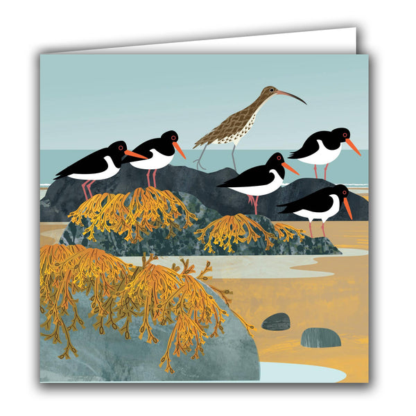 Silver Birch Cards - Blank Greeting Card - 'Curlew and Oystercatchers'