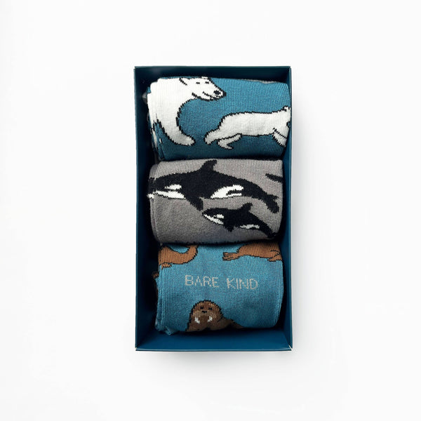 Bare Kind Socks - Arctic Socks | Bamboo Socks Holiday Gift Box | 3 Pairs Socks: UK Adult 4-7 / Single Pair