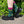 Load image into Gallery viewer, Bare Kind Socks - Fox Socks | Bamboo Socks | Green Socks | Cheeky Socks
