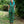 Load image into Gallery viewer, Rebel Romance - RESTOCK PRE ORDER - Rebel Romance Pond Birds Stretch Dungarees

