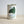 Load image into Gallery viewer, Pigeon Food Gift Tin
