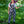 Load image into Gallery viewer, Rebel Romance - Rebel Romance x Abi Perry Bunnies Stretch Dungarees 
