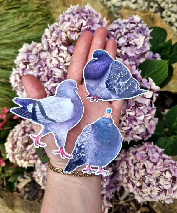 Beth Goodwin Designs - Pigeon Vinyl Sticker Set