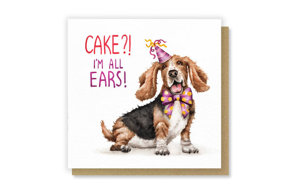 Citrus Bunn - Cake? I'm All Ears!