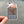 Load image into Gallery viewer, Modern Printed Matter - Trying to Survive Kraken Sticker
