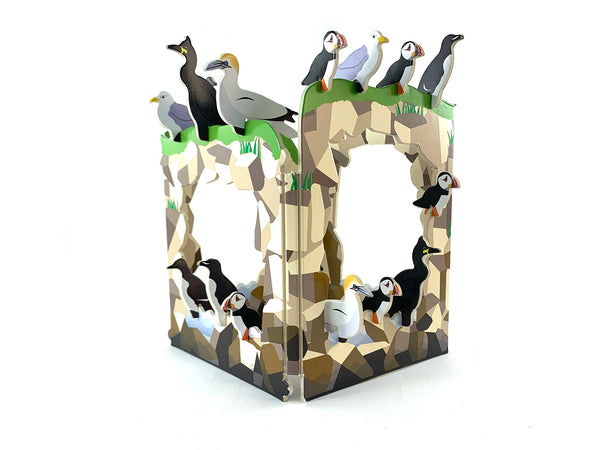 RSPB Costal bird playset