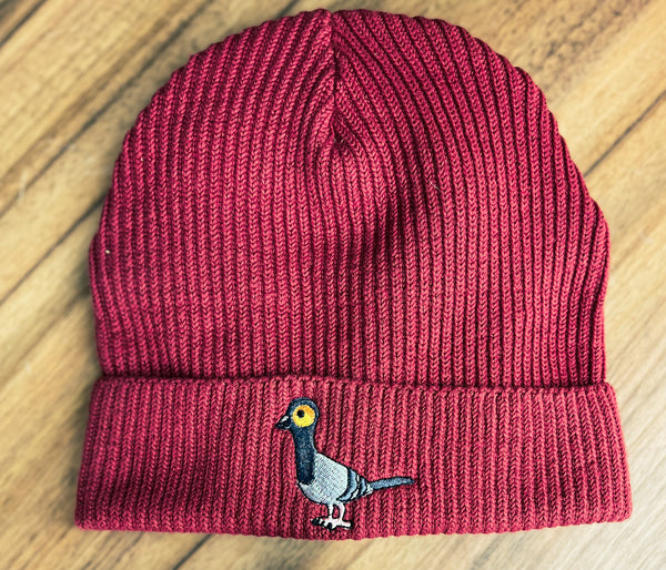 Adults Chunky Beanie | Embroidered rock pigeon