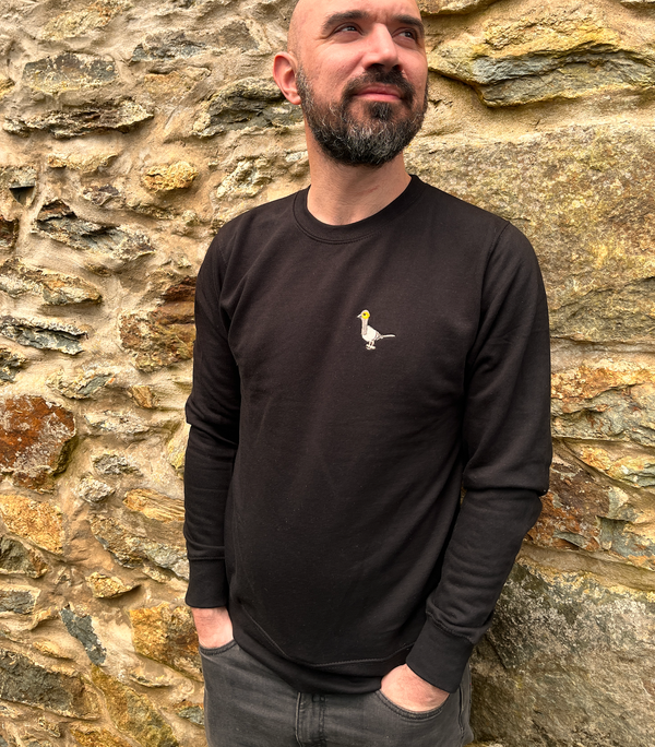 Rock Pigeon Sweatshirt - Black, Blues and Purples