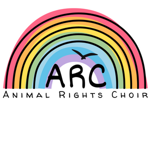 Choir Rehearsal sessions - code link and donations