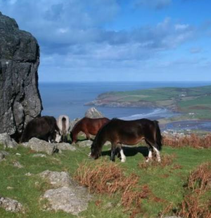 HOLIDAY COTTAGE COMPETITION