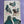 Load image into Gallery viewer, Fernandes Makes - Pigeon Pals / 100% cotton tea towel / 78cm by 47cm

