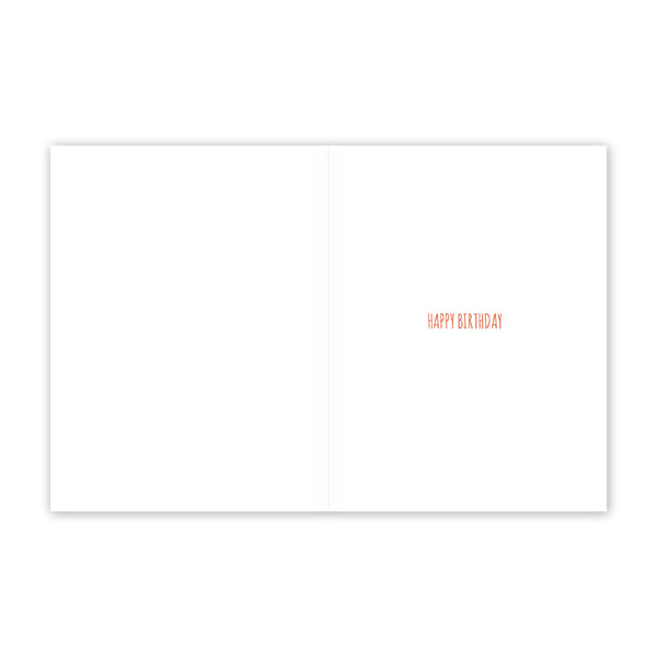 Modern Printed Matter - Raccoon Party Birthday Card