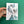 Load image into Gallery viewer, Fernandes Makes - Pigeon Pals Postcard
