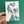 Load image into Gallery viewer, Fernandes Makes - Pigeon Pals Postcard
