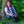 Load image into Gallery viewer, Rebel Romance - Rebel Romance x Abi Perry Bunnies Stretch Dungarees 
